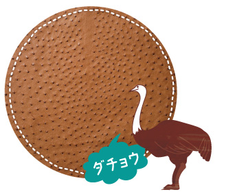 ダチョウ