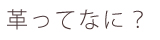Kids' Leather Program 革ってなに？