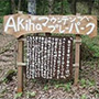 Akihaマウンテンプレーパーク